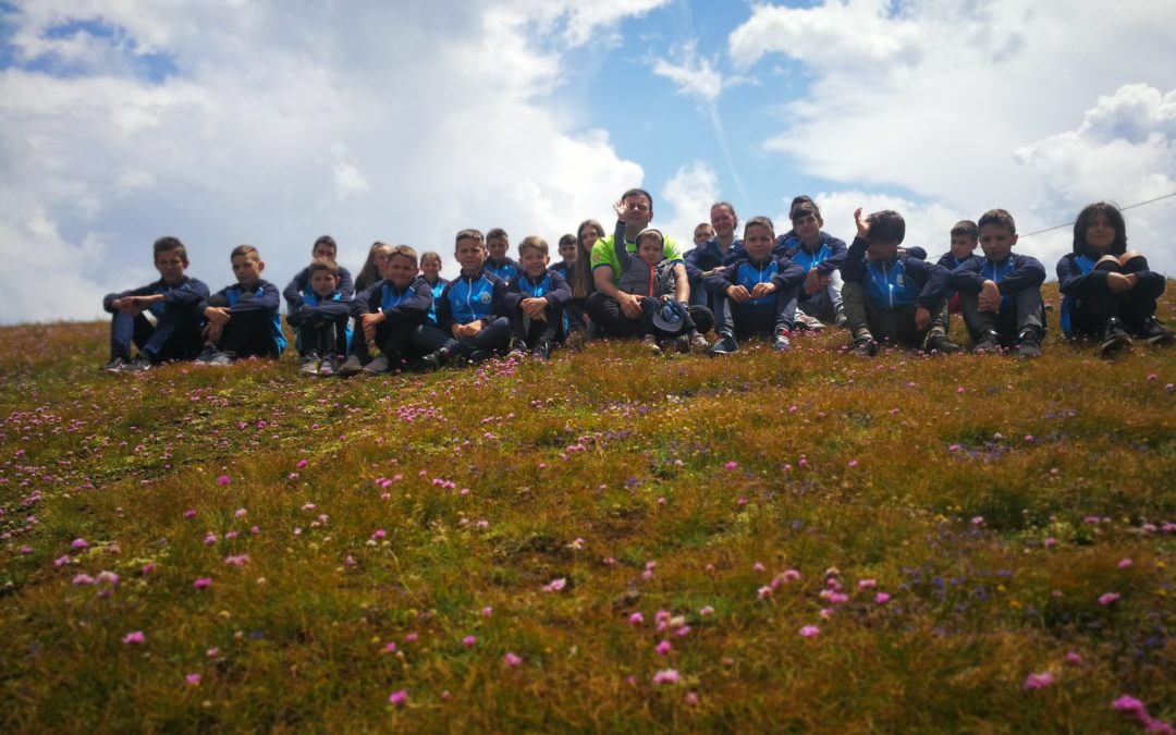 IFC Junior 2020. je otkazan